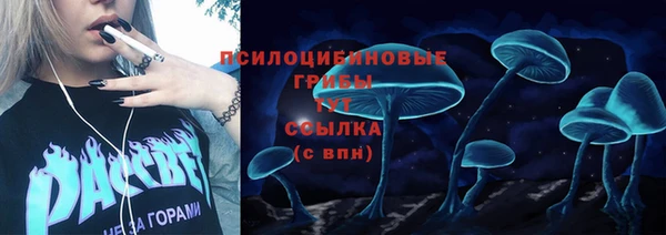 прущий лед Богородск