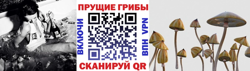Псилоцибиновые грибы MAGIC MUSHROOMS  Пестово 